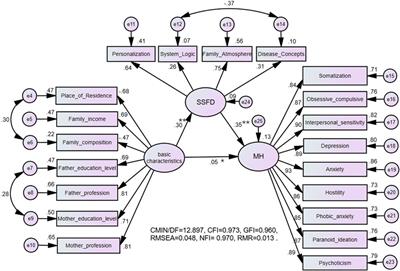 The Relationship Between Mental <mark class="highlighted">Health</mark> Problems and Systemic Family Dynamics Among High School and University Students in Shaanxi Province, China